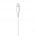 Кабель Apple Lightning/USB (0,5 м)