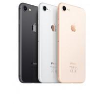 Какие модели iPhone стоит покупать в 2020 году